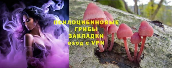 гидропоника Балабаново